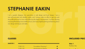 Close up of portfolio cover